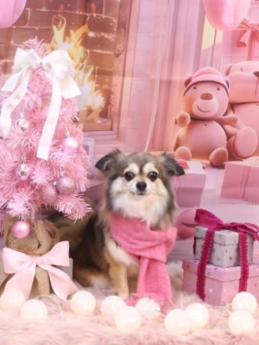 20241221あもちゃん